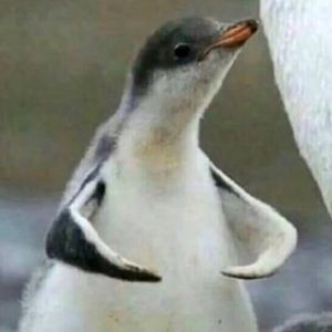 Meet your Posher, Valentina